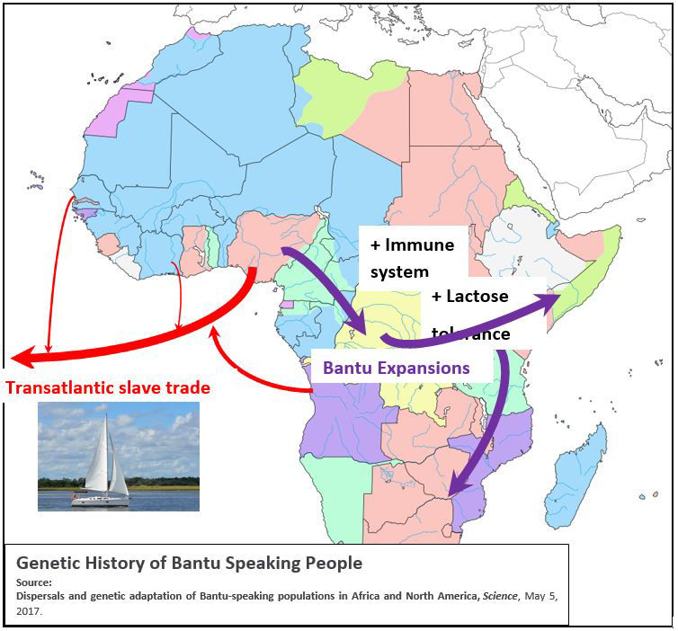 Genetic history of bantu speaking people